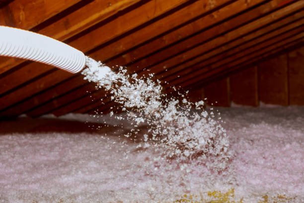 Best Geographic-Specific Insulation Services in Sandy Springs, GA