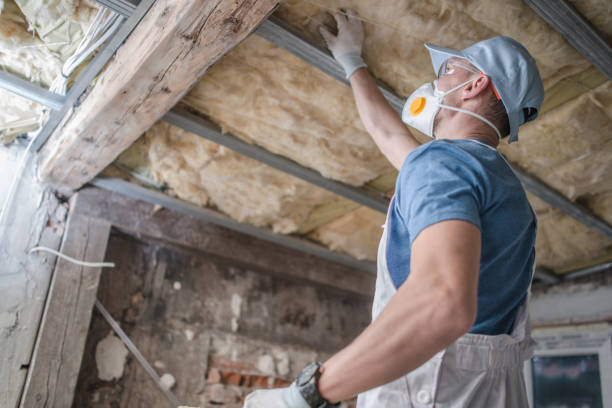 Types of Insulation We Offer in Sandy Springs, GA